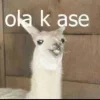 Ola.webp Ola.webp