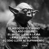 1000065057.webp