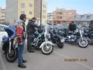 IMG_3033 [800x600].webp