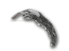 10005873_AQUILA_FARO180_2.webp