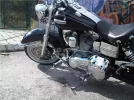 5301584_g.webp