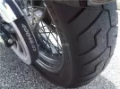 5301591_g.webp
