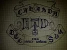 luis camis 1.webp