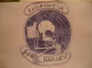 Diseño 4.webp