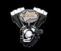 camiseta.webp