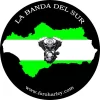 diseño 10.webp