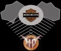 diseño 11.webp