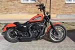 sportster 002p.webp