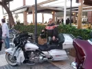 P1010433.webp