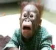 AZVXRD9CAX2PNSACA9MBLLMCAKOP0GQCAH45EWWCA374WLDCALQM5BICAXOR6KZCAAB8ZIJCA5ARJYTCAGPI530CAW6WI...webp
