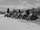 P2120014_.webp
