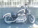 5020449_n.webp
