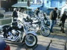 19-2-2011 (16).webp