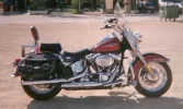foto vicente0002.webp