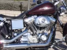 Dyna_fxd_021.webp