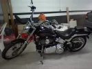 Photo_0024.webp