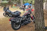 FB_IMG_1778255892289.webp