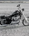 1000258726.webp