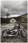 bike1.webp