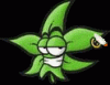 cannabis.gif