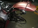 Softail Angelada 034.webp
