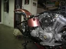 Softail Angelada 031.webp