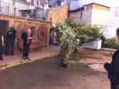 Rulo-Comida Valencia7.webp