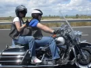 SDC11181.webp