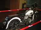 sprin1.webp