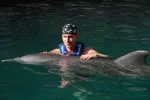 n1561891324_169640_2641[1].webp