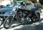 DSC03271.webp