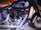 fat 004.webp