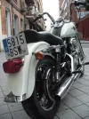 MOTO11.webp