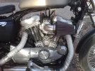 27032011290.webp