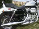 standar3.webp