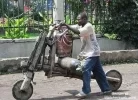polvoafriicano.webp