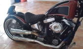 IMAG0025.webp