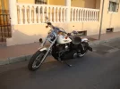 DSC02763.webp