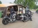 backamo 2010- Svenn.webp