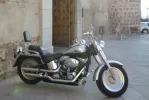 DH FB.webp