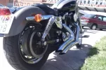 IMAG0081.webp
