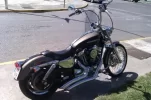 IMAG0080.webp