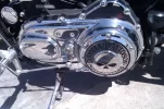 IMAG0089.webp