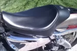 IMAG0092.webp