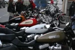 sportsters-1.webp