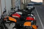 sportsters-2.webp