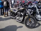 DSC00551-2.webp