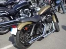 DSC00552-2.webp