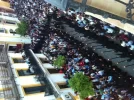 la foto2.webp