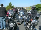 DSCN1666.webp